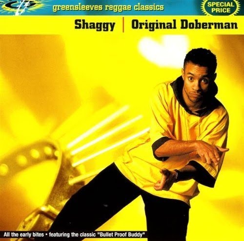 discographie shaggy